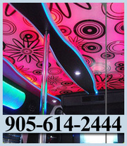 Party Bus Kitchener