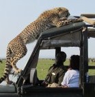 kenya tour packages