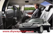 Use the service on a professional limo service rental for a better exp