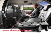 Use the service on a professional limo service rental for a better exp