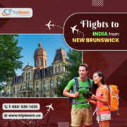 Flights to India from New Brunswick