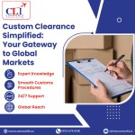  Seamless Customs Clearance with CanWorld Logistics