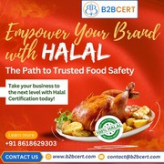 Get HALAL Certification in Miami with Expert Consultants